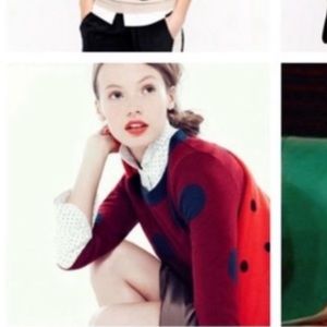 J.Crew Merino Wool Tippi Sweater XS